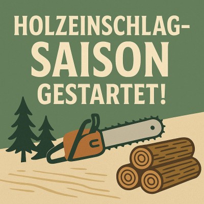 Holzeinschlag-Saison startet: Pflege stärkt Wälder im Klimawandel